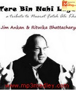 Tere Bin Nahi Lagda